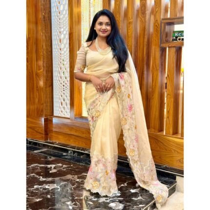 A premium organza saree  with embroidery border work